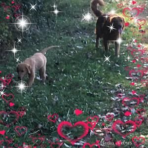 Meet your Posher, Glenda